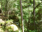 tanztherapie-ingelheim-willkommen