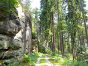 tanztherapie-ingelheim-workshops